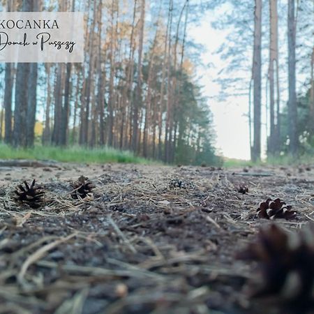 Domek W Puszczy ,,Kocanka" Mezyk エクステリア 写真