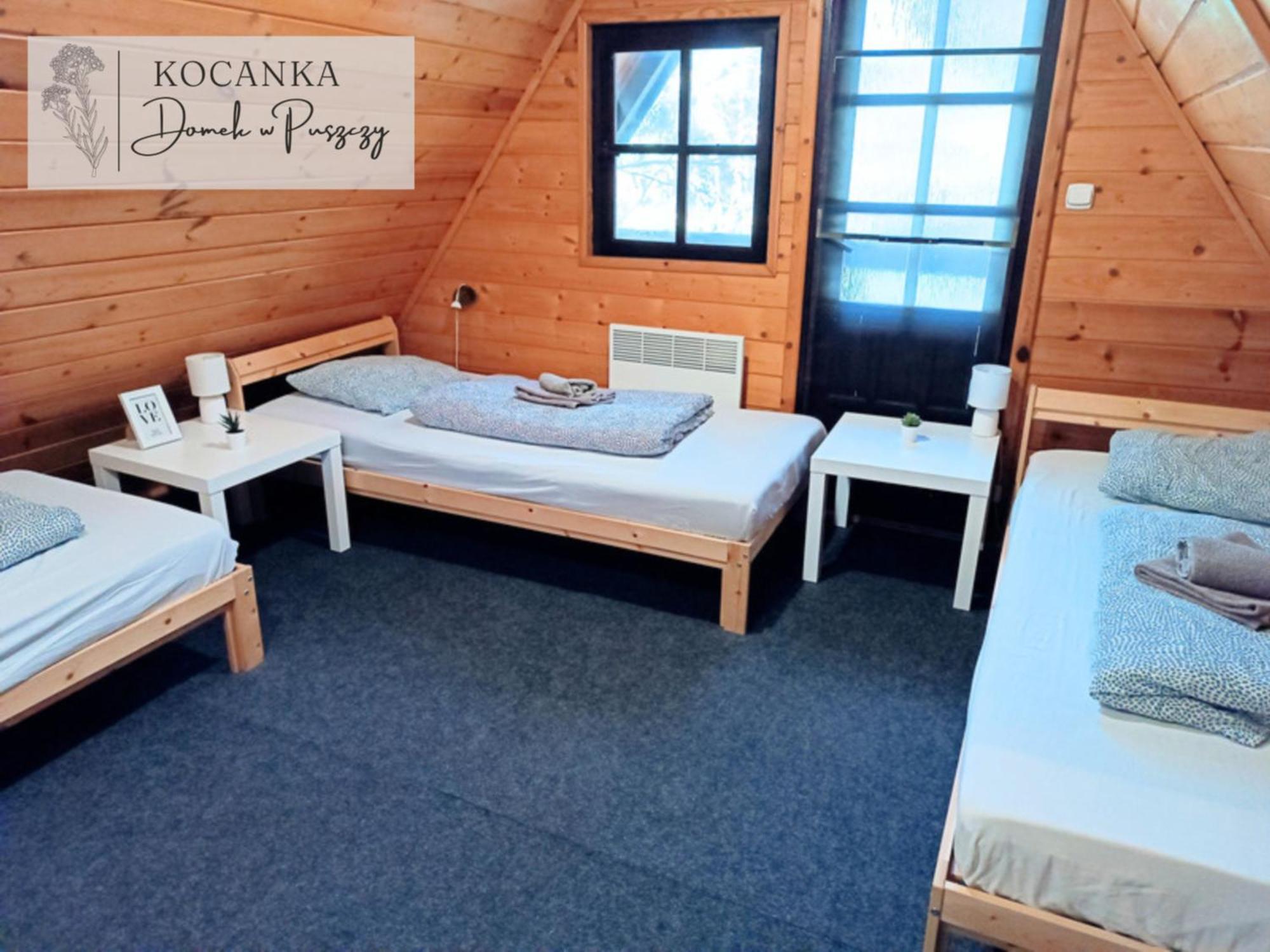 Domek W Puszczy ,,Kocanka" Mezyk エクステリア 写真